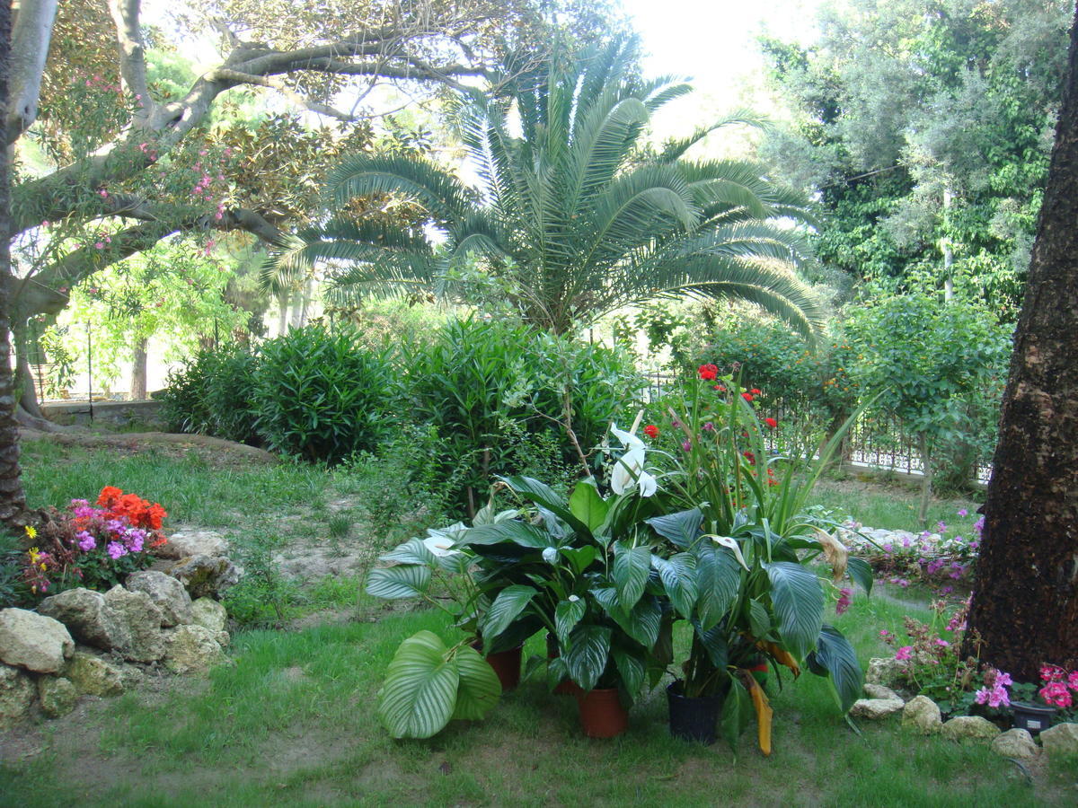 Villa La Cucullera Catanzaro Exterior foto